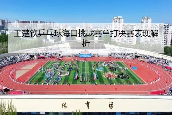 王楚钦乒乓球海口挑战赛单打决赛表现解析（8868sports）